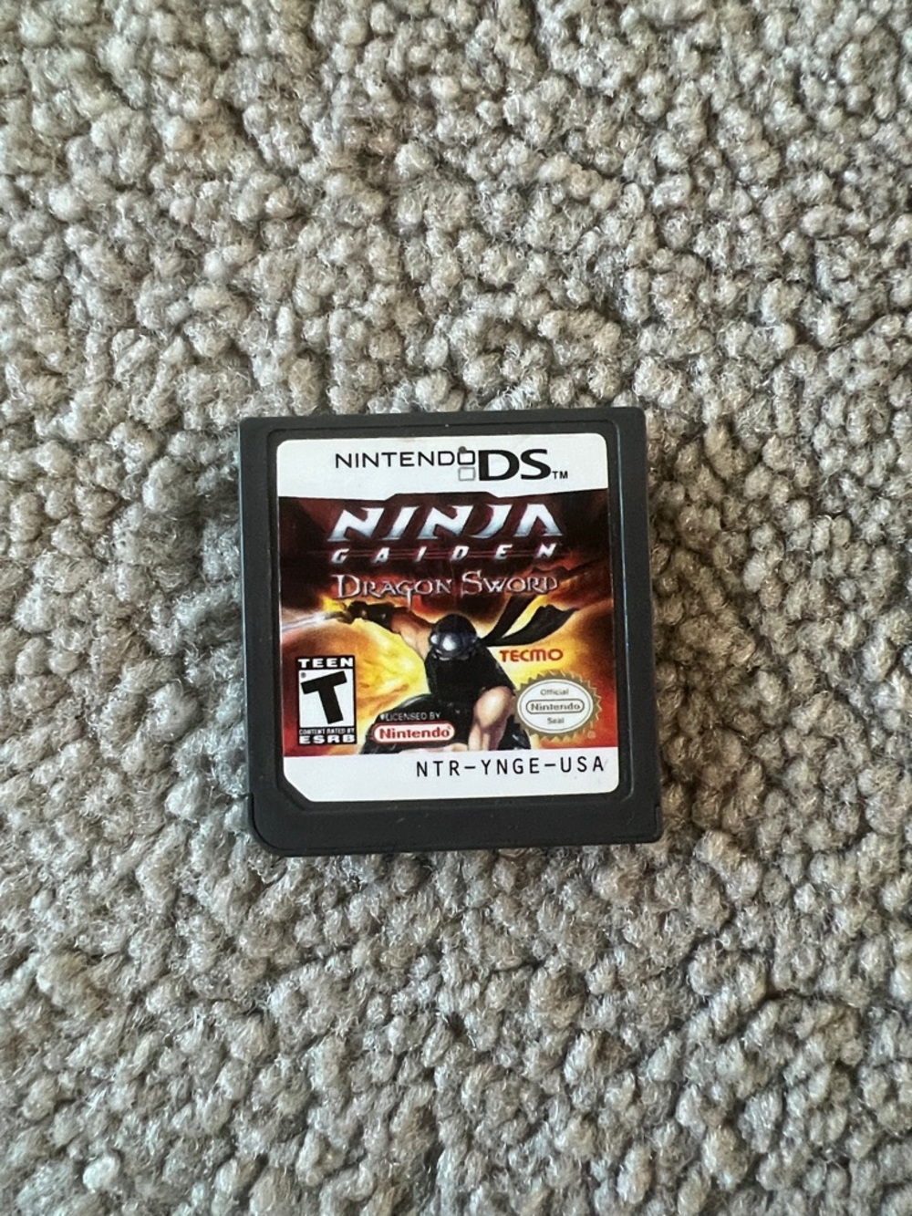 Ninja Gaiden DS game